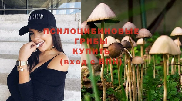 кокс Алексин