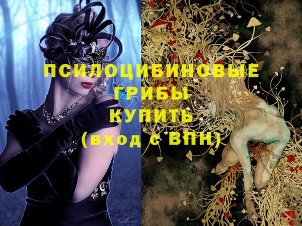 кокс Алексин