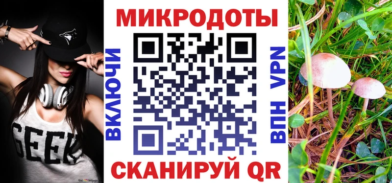 дарнет шоп  Балабаново  Галлюциногенные грибы Psilocybe 