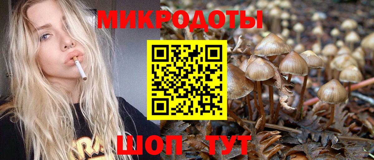 Галлюциногенные грибы Cubensis Балабаново
